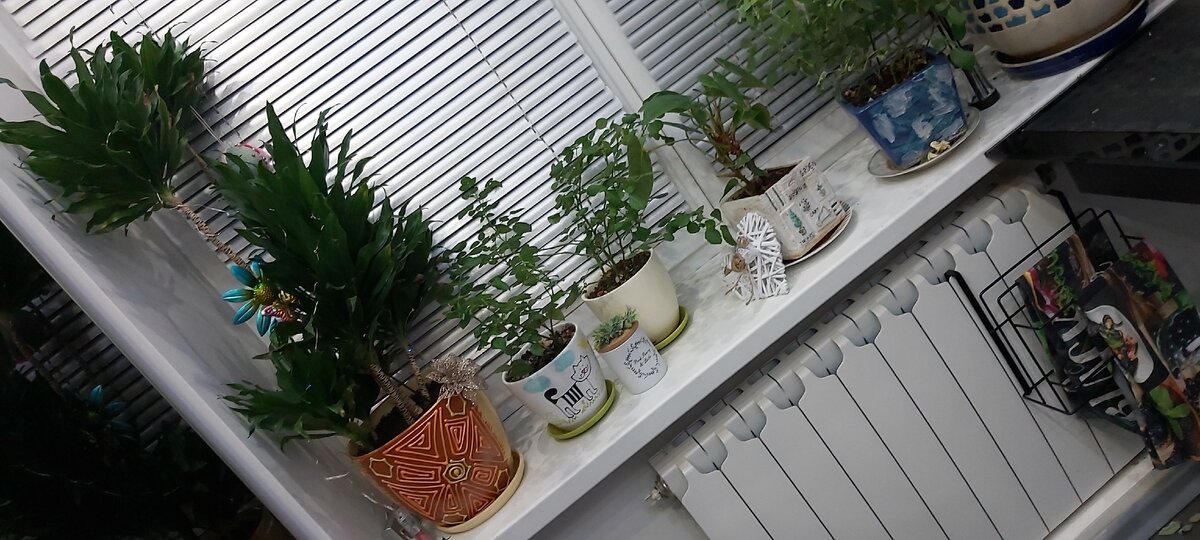 Опоры для цветов, ароматическая свеча, плетеное сердце, держатель