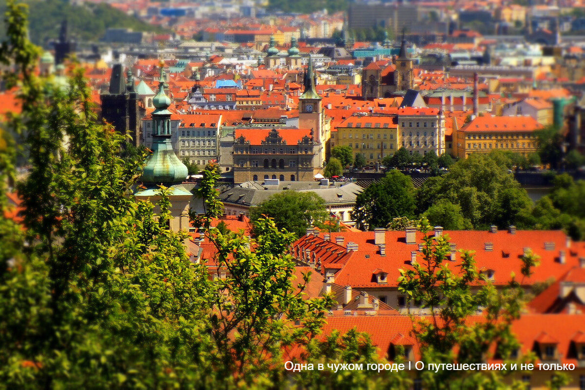 Красный - цвет классической черепицы. Она использовалась в Праге еще много веков назад. И хотя современная металлическая черепица – дешевле и практичнее, чехи остаются верны своим традициям.