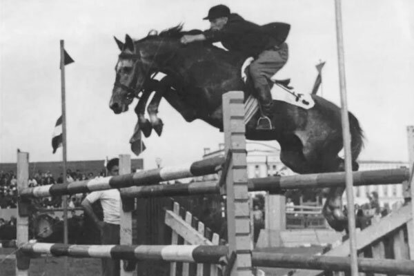 Источник фото сервис Яндекс.Картинки В.А.Васильев (конкур)