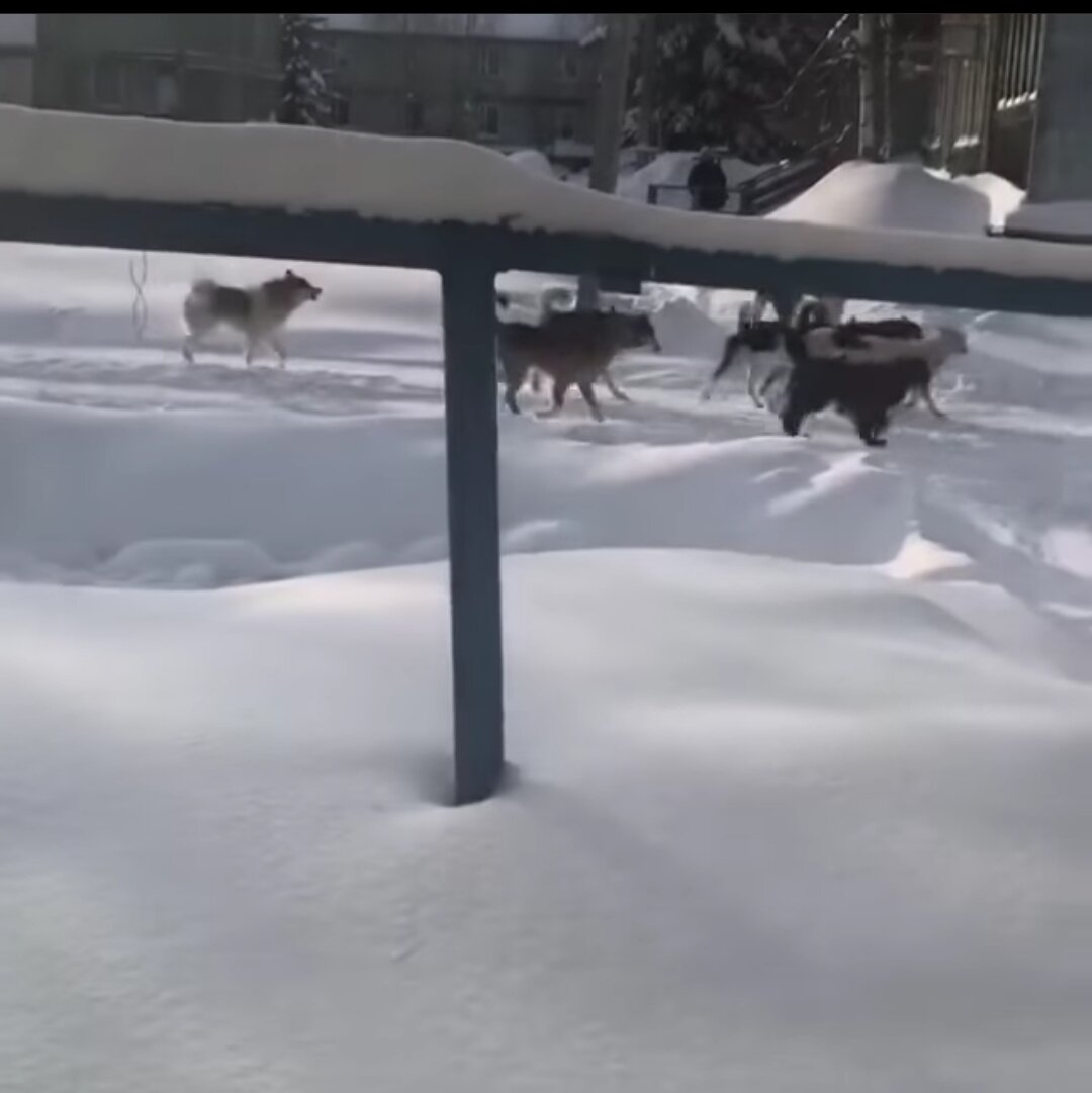 А это возле нас 