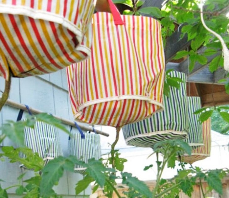 Вот так я храню свои банки на даче