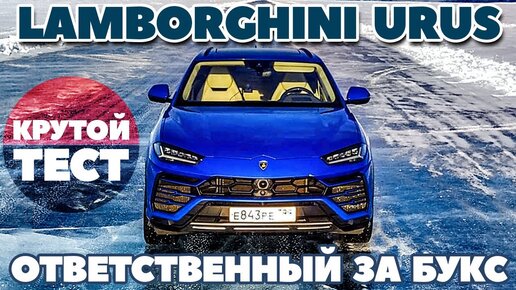 Lamborghini Urus против Jaguar F-type: разгон буксом, а как с торможением?