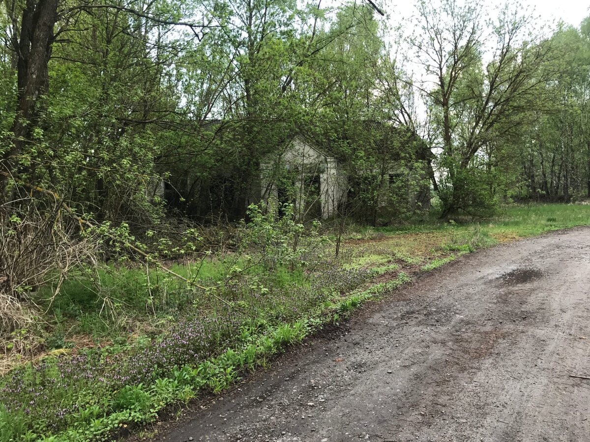 Село Стечанка, ЧЗО