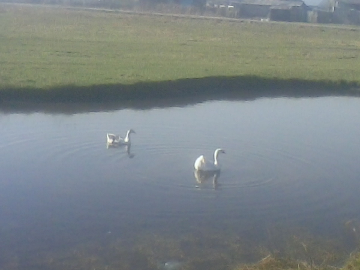 фото из личного архива