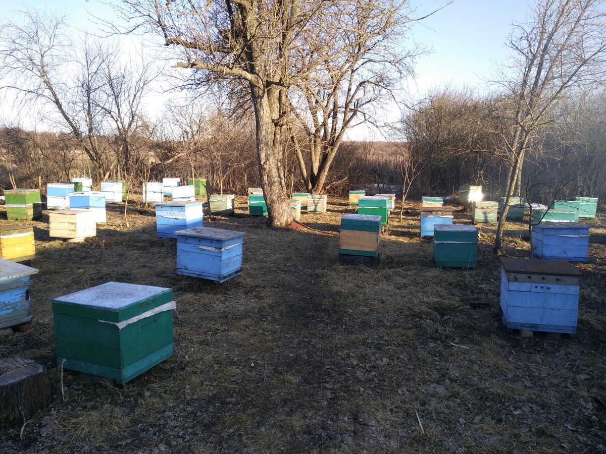 Пасека осенью