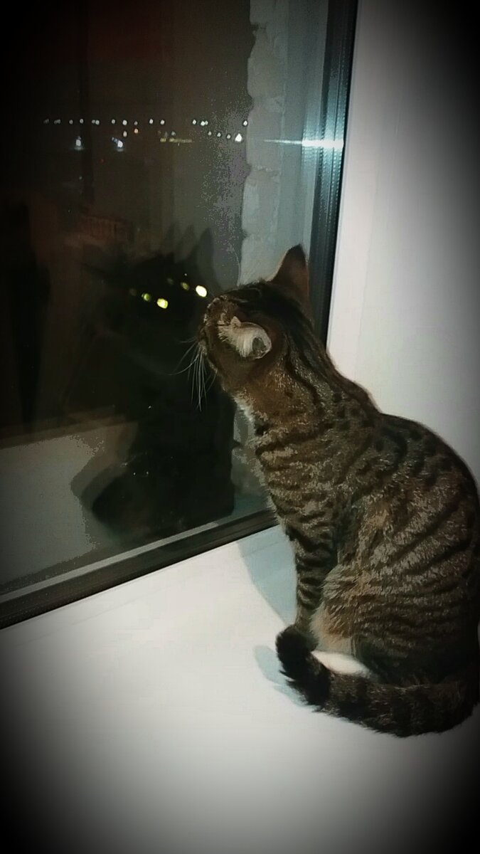 Скриншот из видео