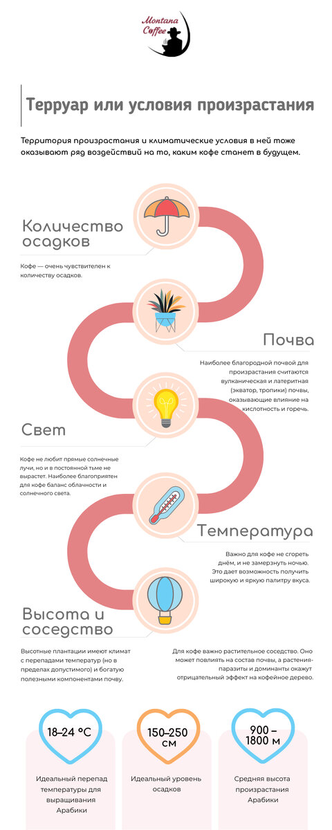 Отметим, что это не единственная возможная схема работы. Есть множество нюансов, а в каждой стране-производителе кофе свои особенности