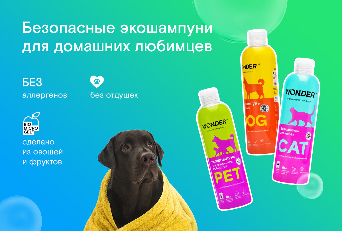 Какой шампунь выбрать для вашего питомца?