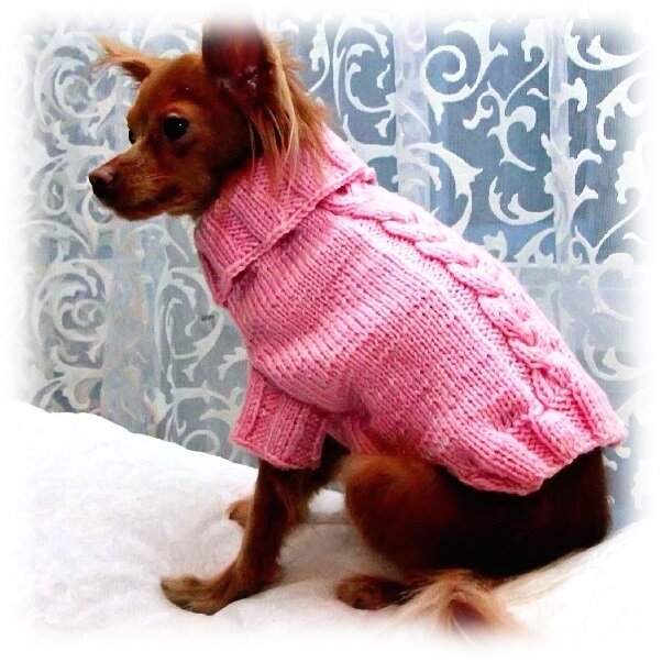 Свитер для собаки спицами