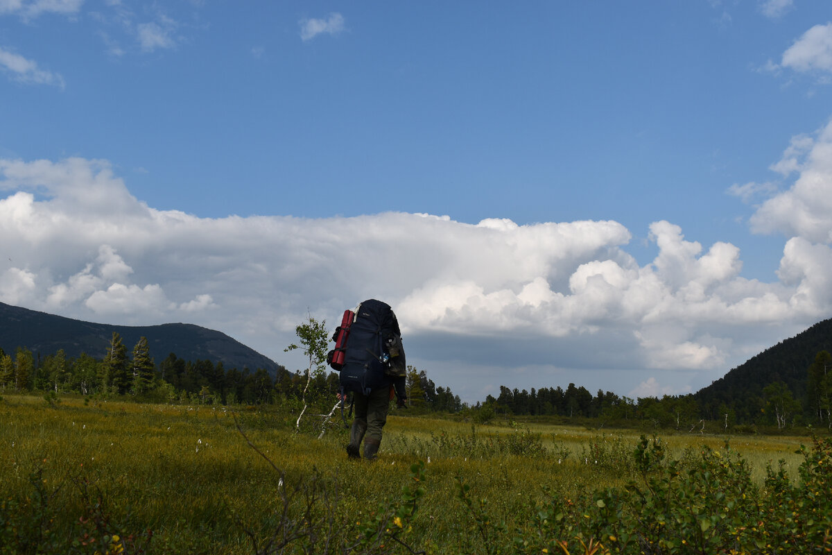 Фото автора