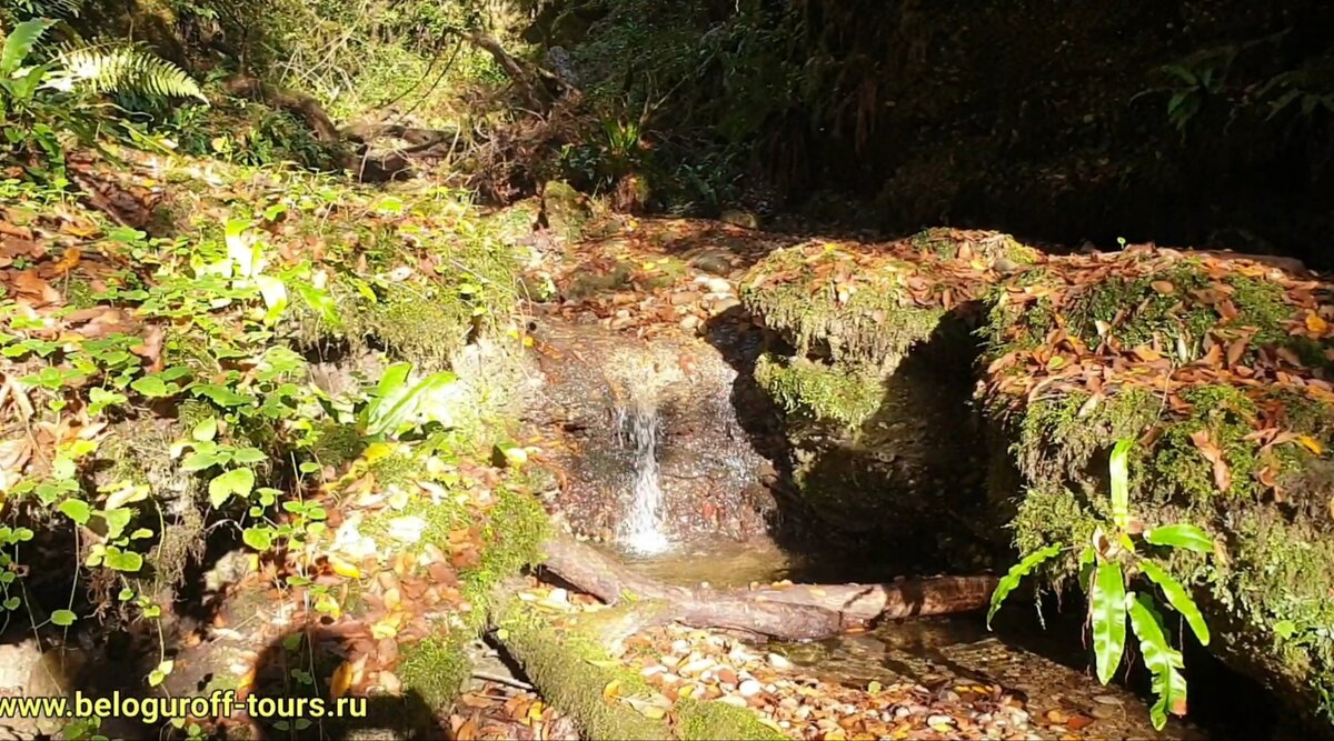 Безымянный каньон