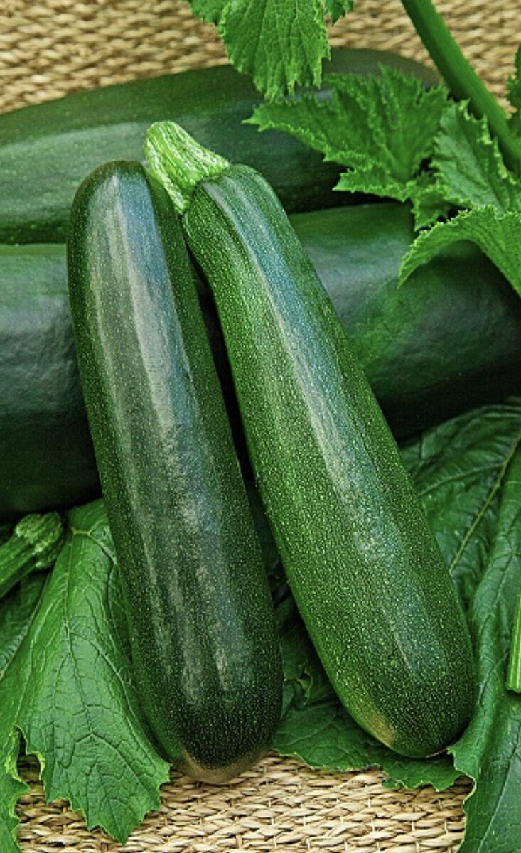 Цуккини Кабачок