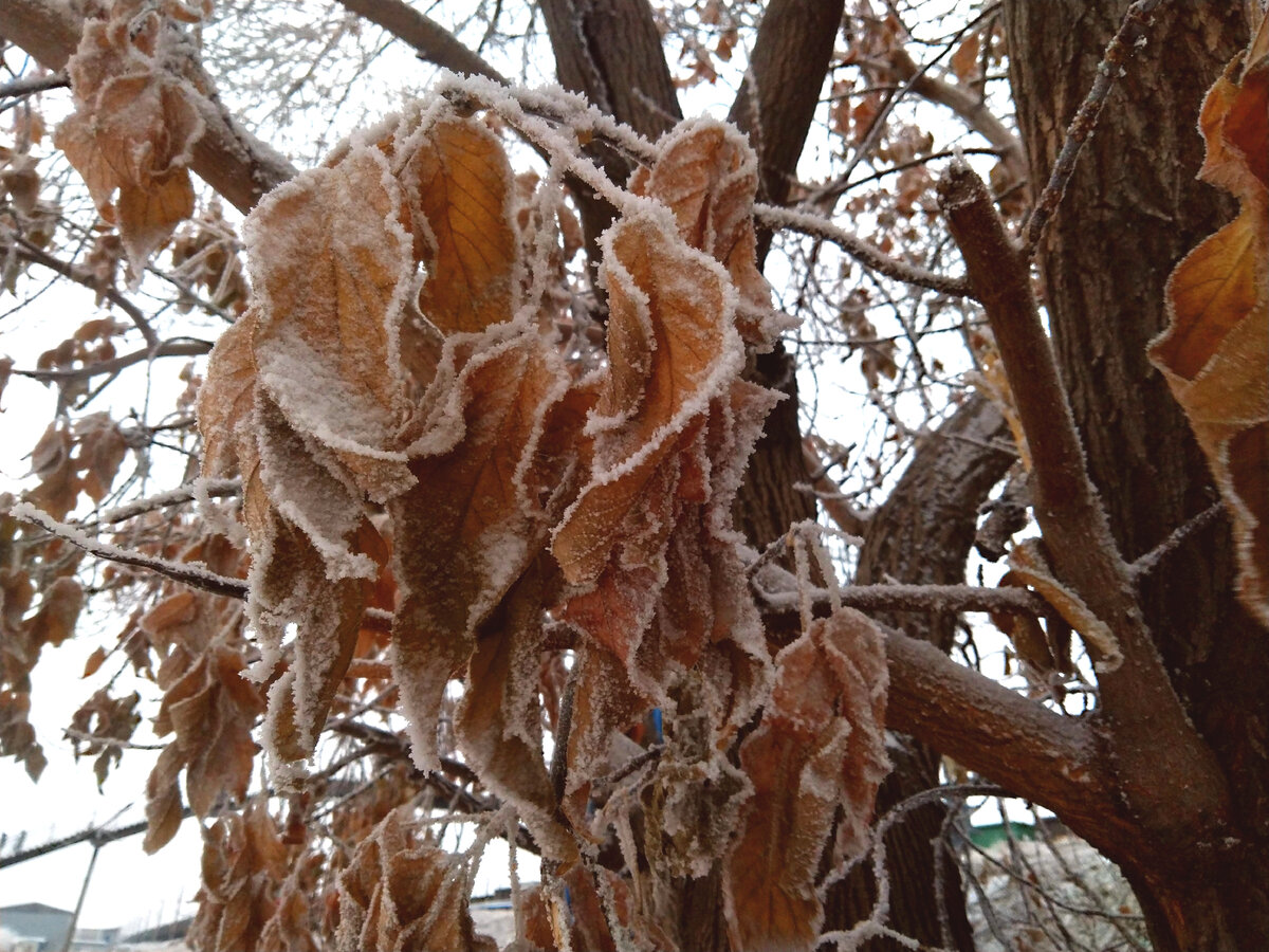 Из личного архива автора