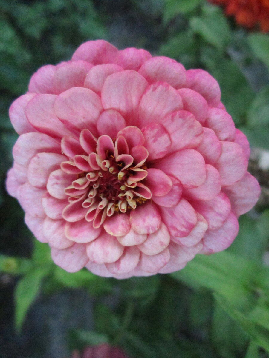 Фото автора канала