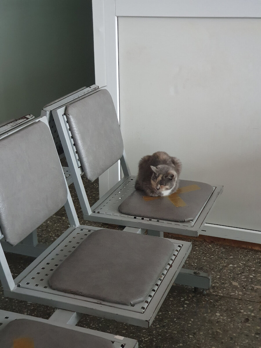 Кореновск, Краснодарский край. Декабрь 2021 г.