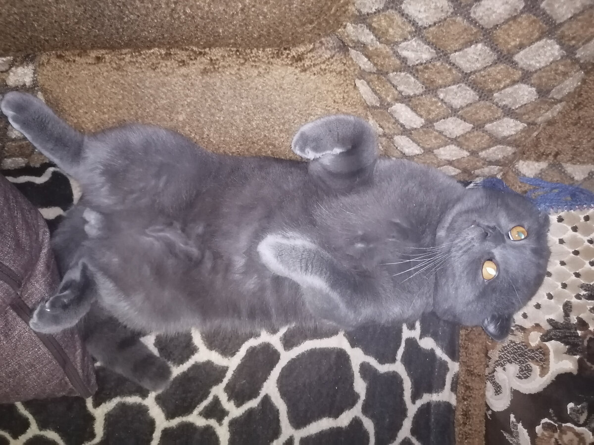 Отдых после бурной ночи. Личное фото. 