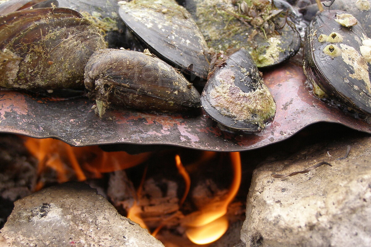 Очаг из обломков ракушечника, металлический лист, ракушки...