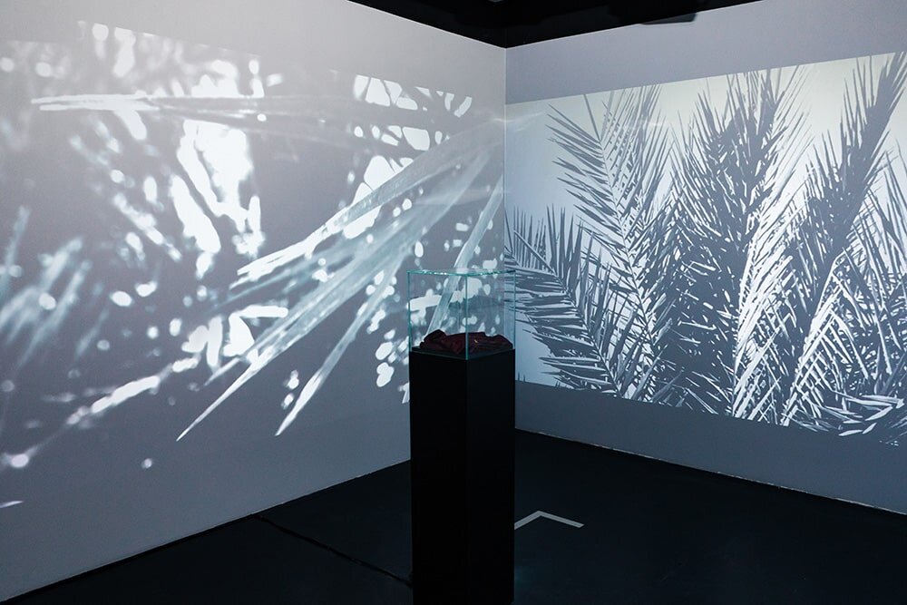 Ольга Киселева «Призрачный лес», 2020. Инсталляция (видео, семена из археологических раскопок в крепости Масада, золото) © Дмитрий Григорьев, ITMO.NEWS