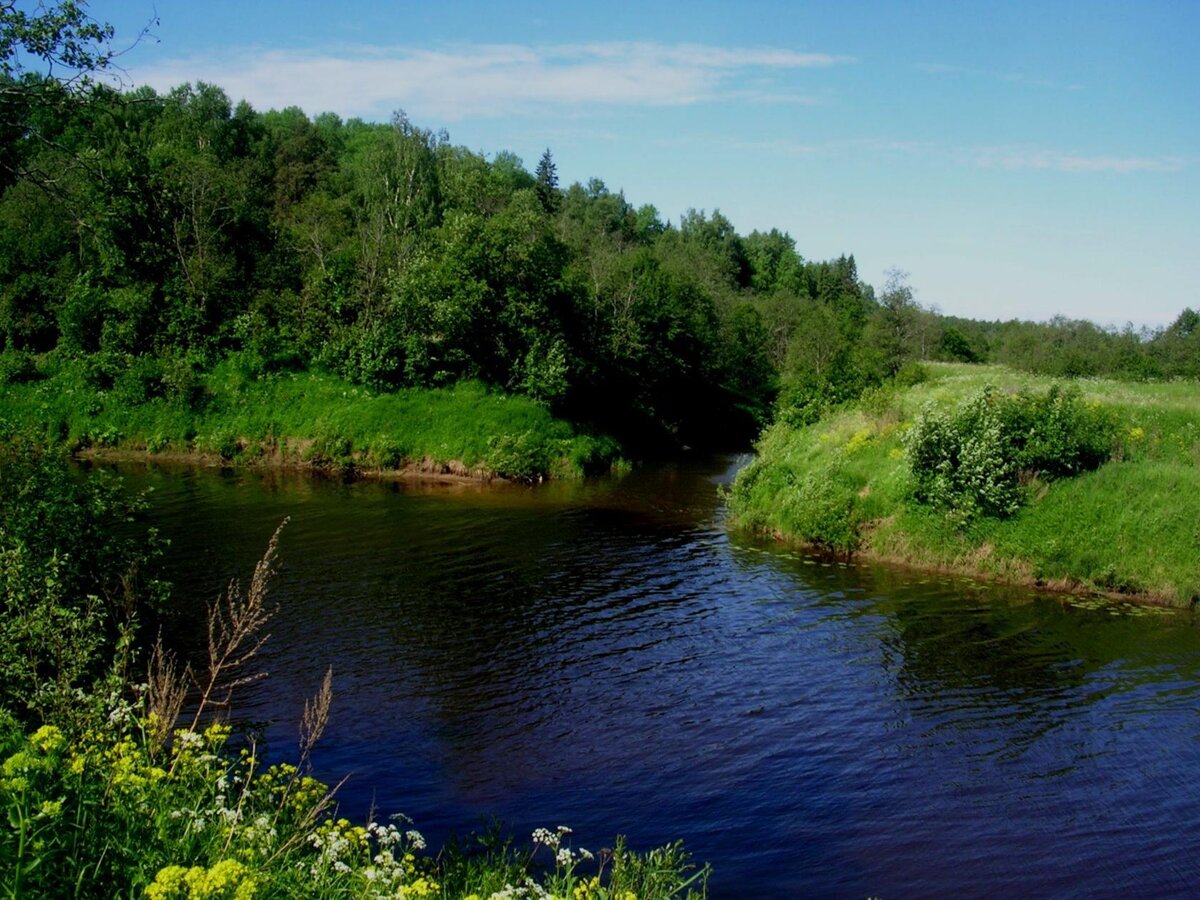 место впадения Коньши в Соть