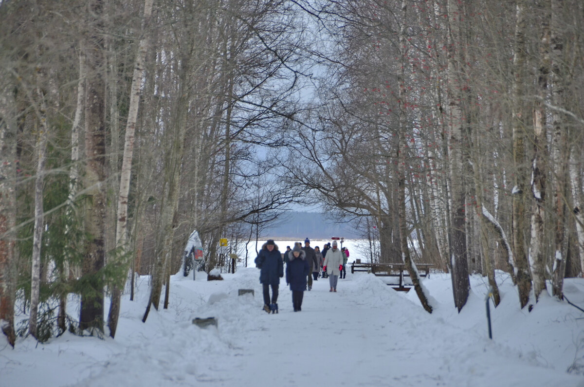 Большинство посетителей музейной территории просто гуляют по парку