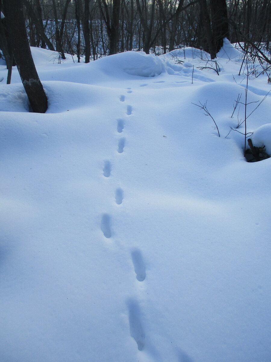 Фото автора эссе