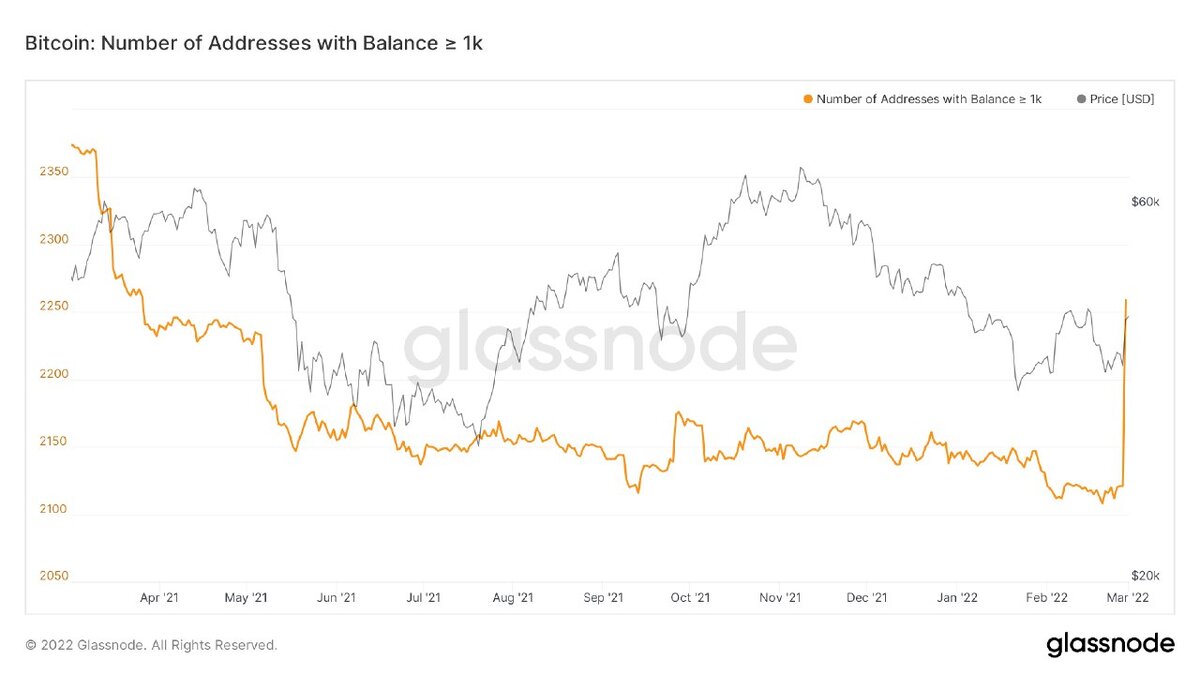Число биткоин-кошельков с балансом более 1000 BTC. Данные: Glassnode.