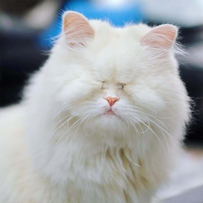 Фото из Интернета