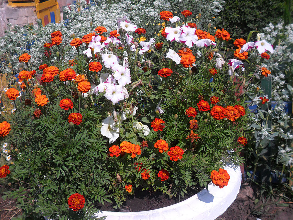 Красота после проекта 2020 г. "Зеленый двор"