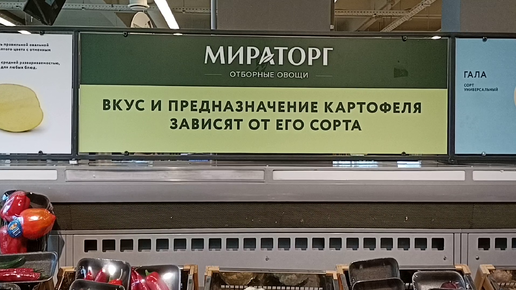 Овощи, фрукты и цены на них в магазине 