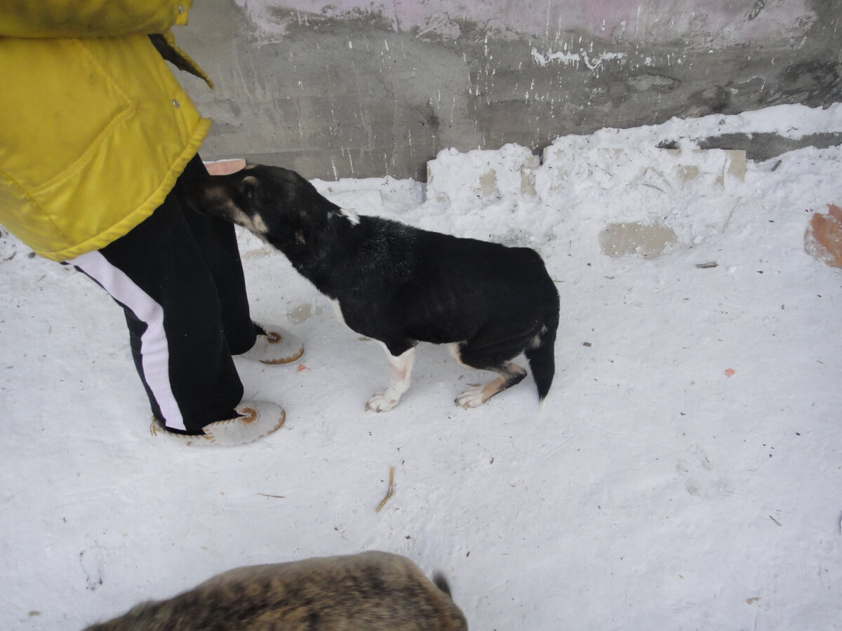 Булька сразу и безоговорочно мне поверила. Невзирая ни на что