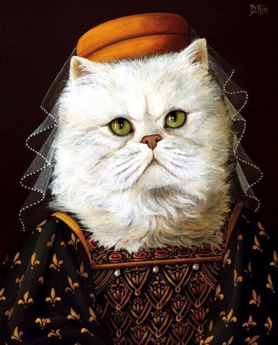 фото из открытых источников