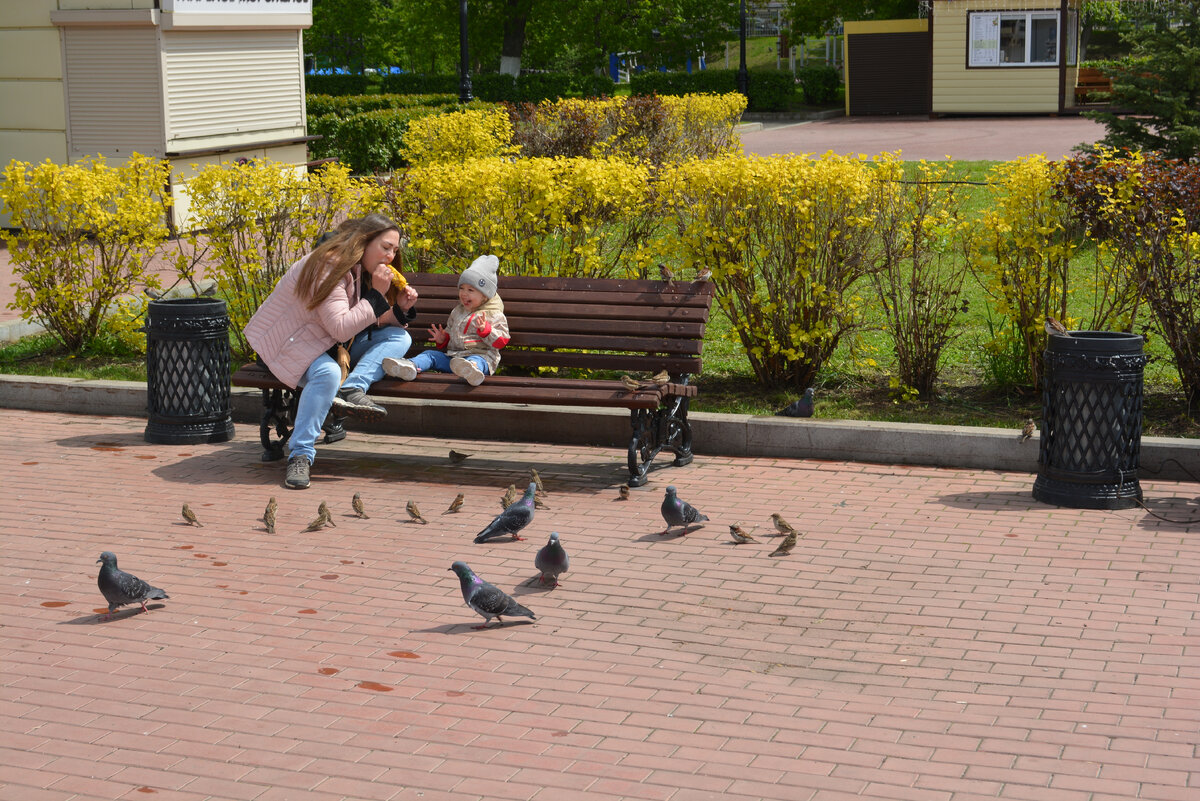 Воробьи и голуби, а также детское счастье от всего происходящего
