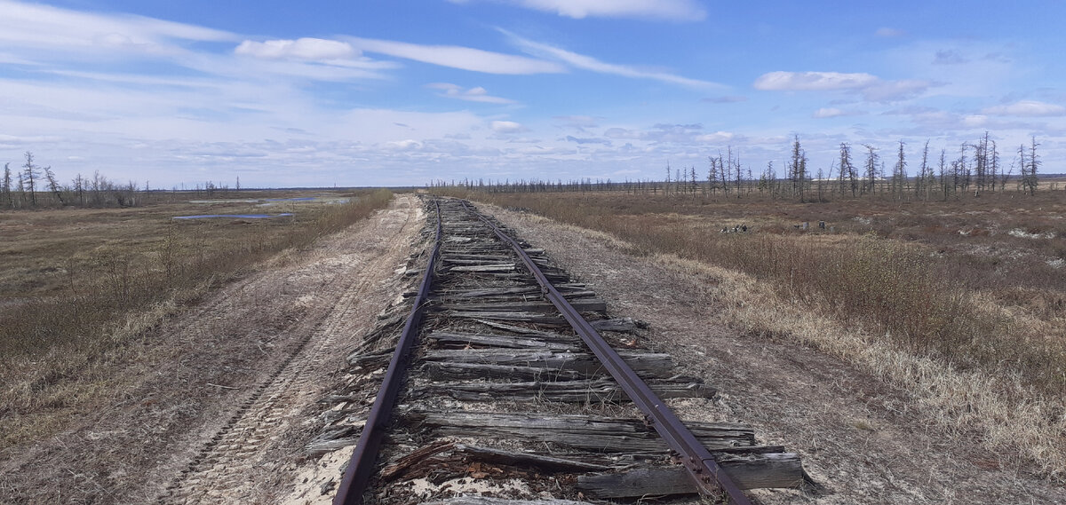 © Вершинин Михаил / CC BY-SA 4.0 (Трансполярная магистраль. Перегон Салехард – Надым, 2021 год)