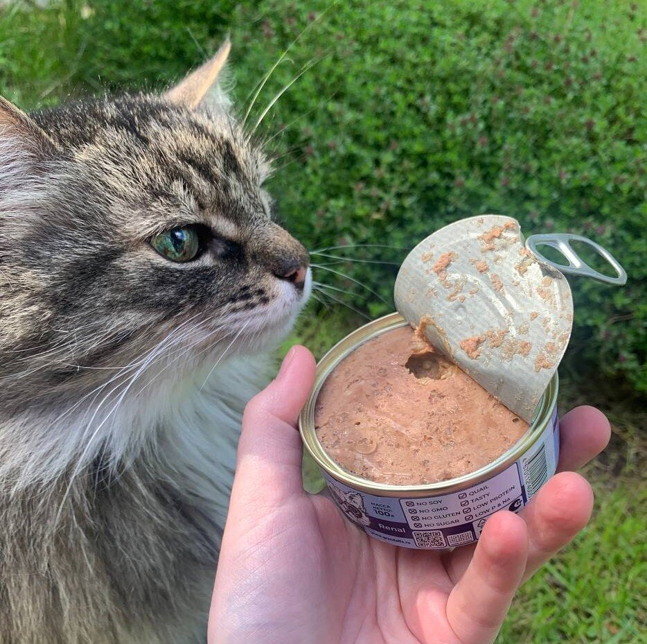 Потеря веса - один из симптомов хронической почечной недостаточности 