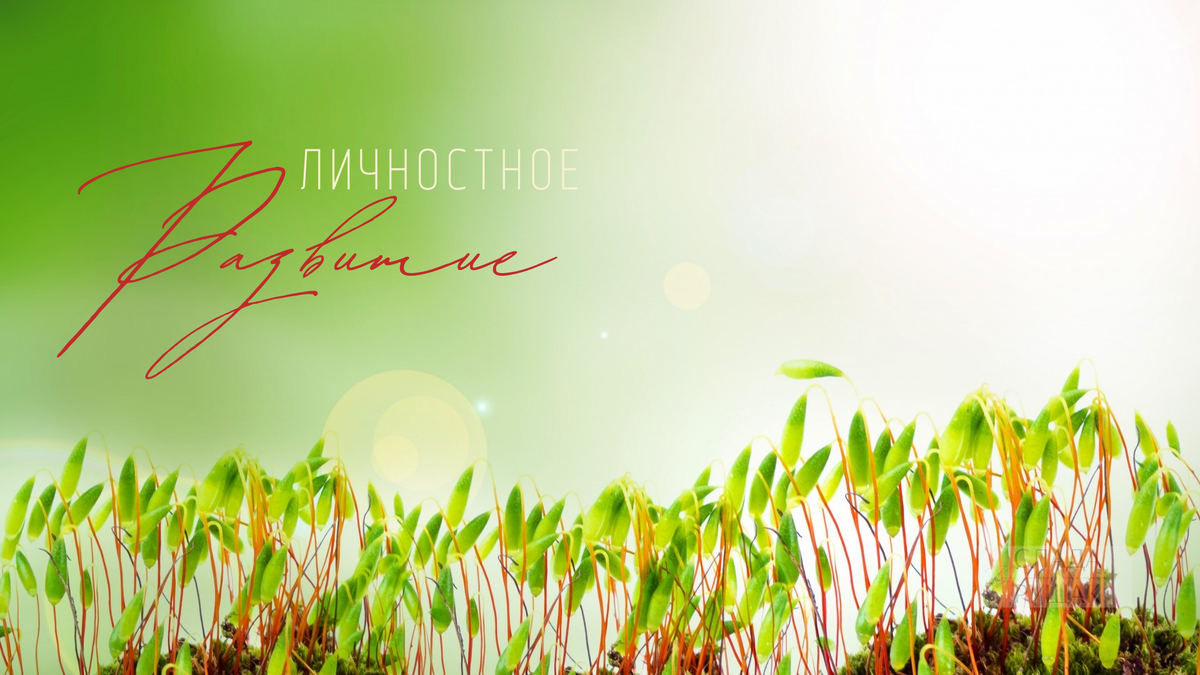 Друг, подпишись и ставь лайк, это очень важно для развития канала!;)