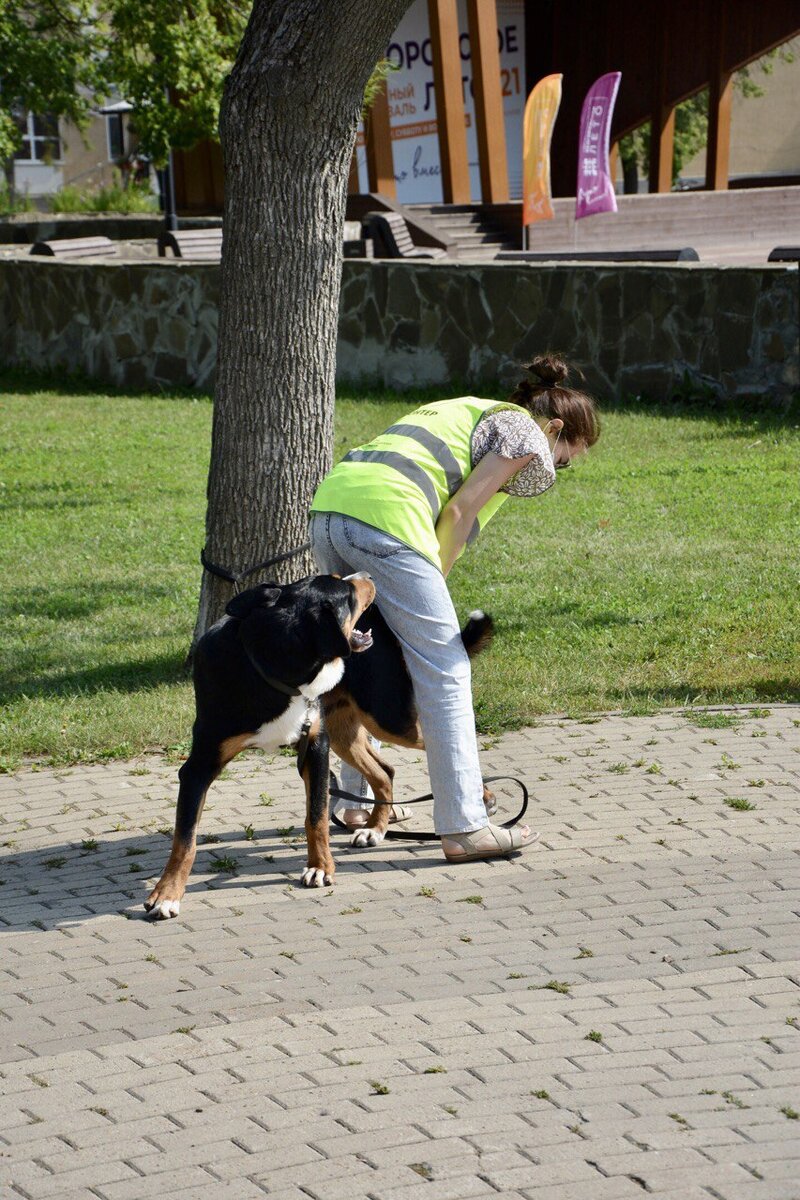 Ой. Бывает и такое.