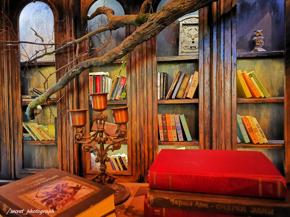 Книжный дух