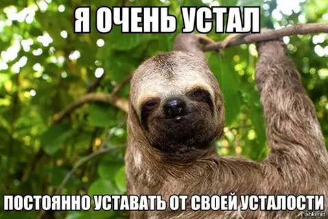 Прям как я.