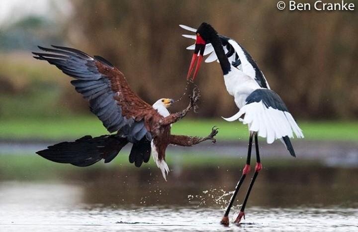 � � ������� ����� ������ �� �������!
� �� �� �� ���� �� �����!