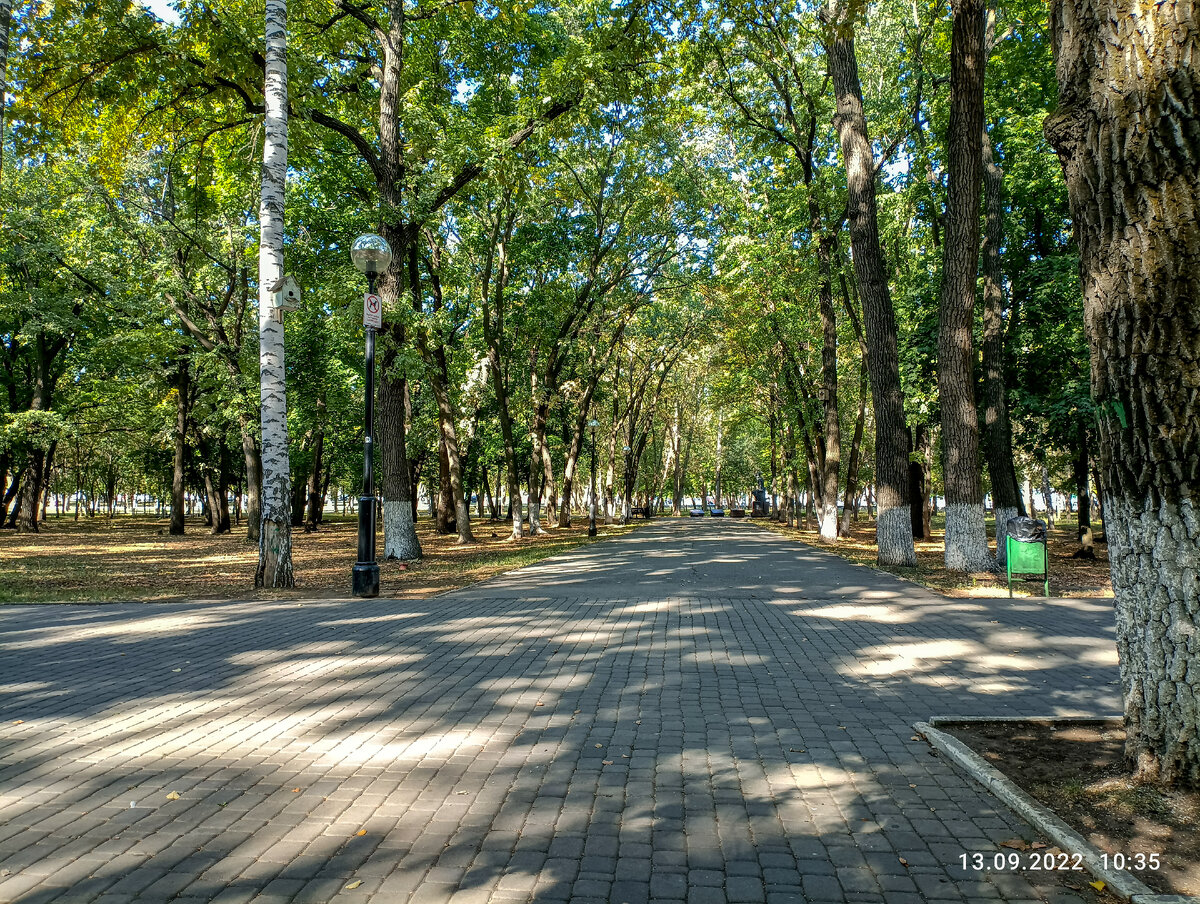 Парк им. Гагарина.