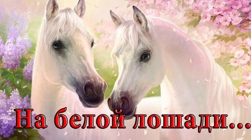 На белой лошади с блестящей длинной гривой... Автор музыки Сергей Грищук