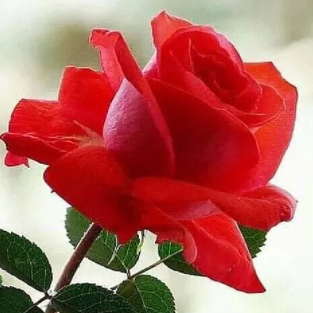 ЗАРЯДИСЬ ПОЗИТИВОМ.