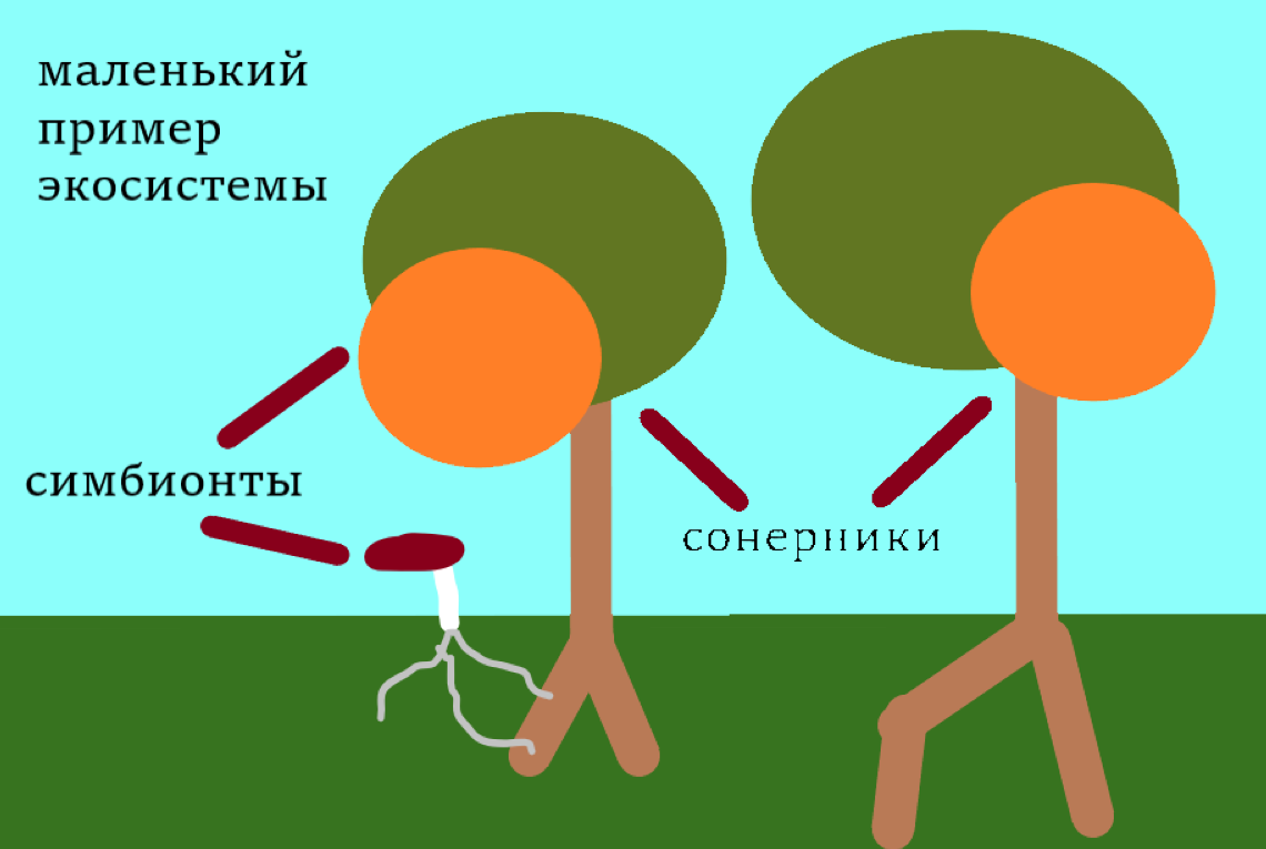 картинку сделал сам, пример очень маленький и на самом деле такой банальной экосистемы быть не может