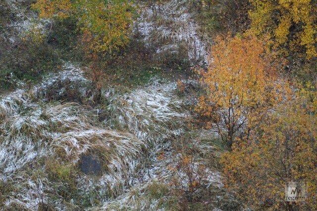    Первый снег Наталья Стрельцова © ИА REGNUM