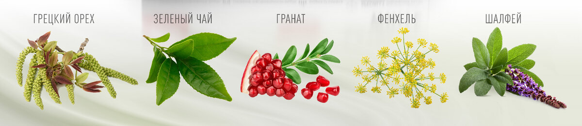 Знакомые всем растения, как оказалось, содержат высокоэффективные соединения, которые как ластик стирают темные пятна с зубов и расщепляют налет из табачных смол 