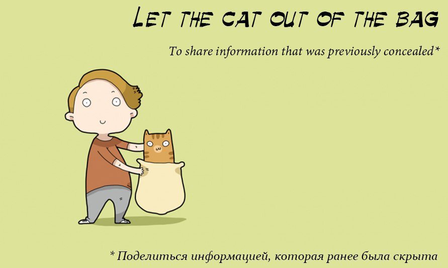 Cats out of the bag перевод