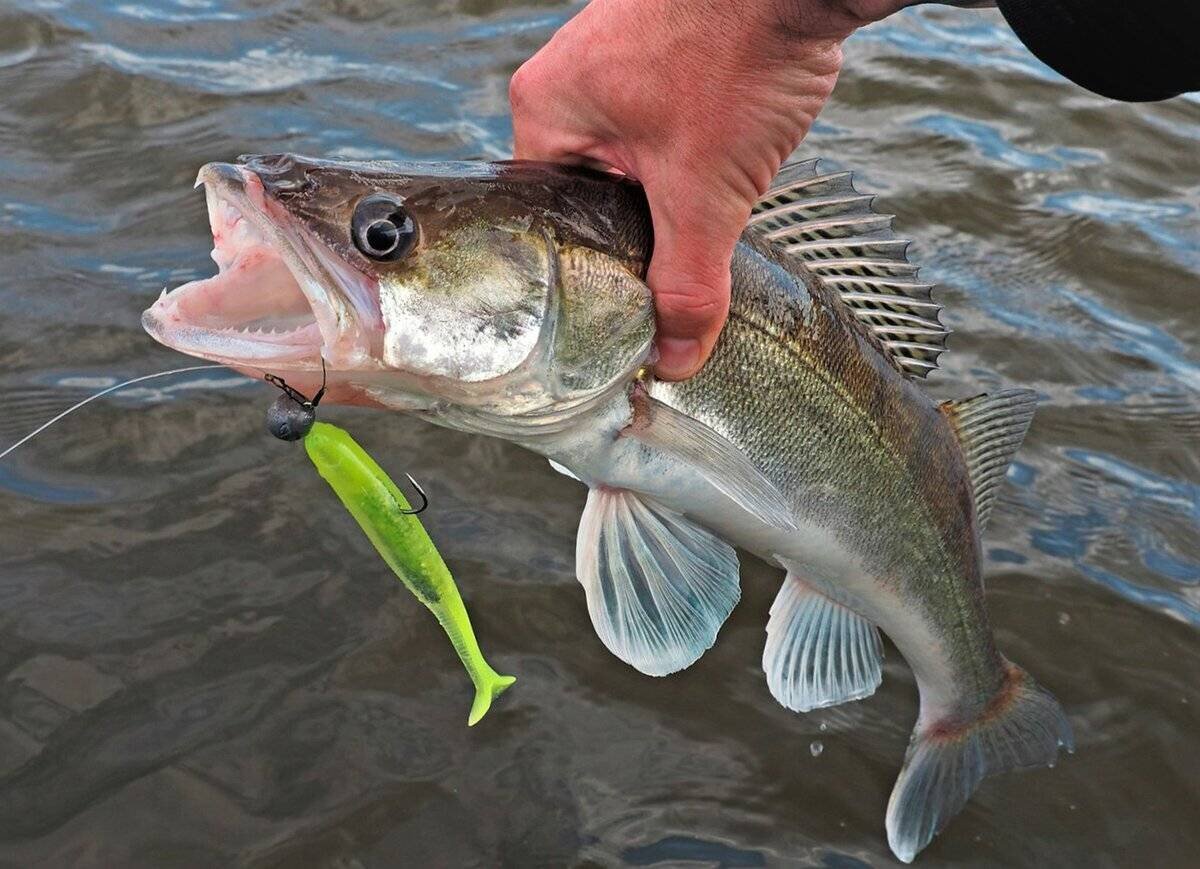 Фото с сайта: https://novikovnn.ru