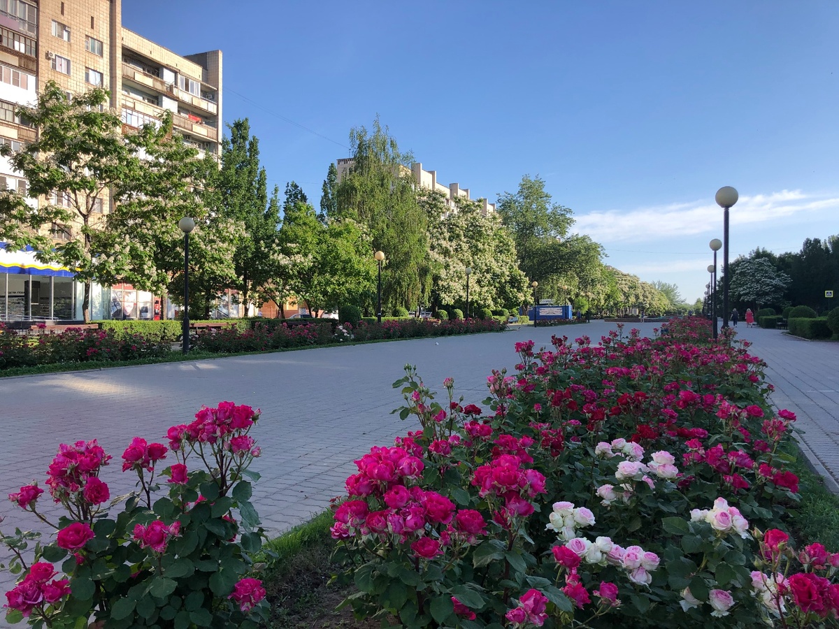 Бульвар Энгельса. Красноармейский район