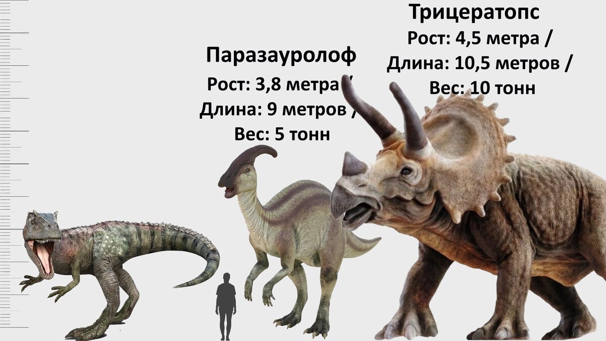 Сравнение всех динозавров из Мира и Парка Юрского периода