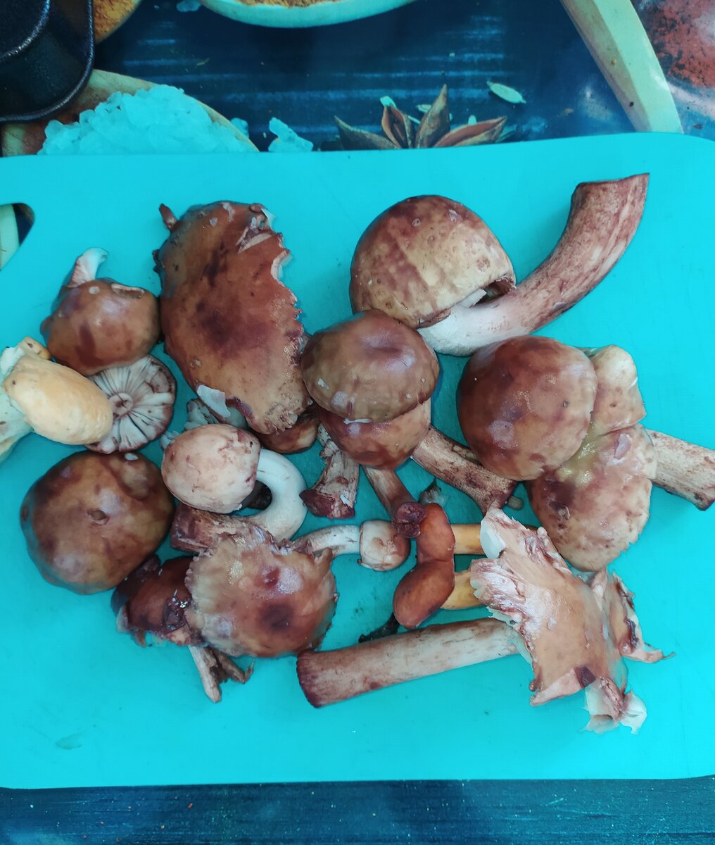 Растут недалеко от дома!